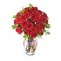 Two Dozen Premium Red Roses Bouquet