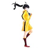 一番くじプレミアム 偽物語 A賞 阿良々木火憐プレミアムフィギュア 偽物語ver. (単品)