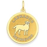 Labrador Retriever Charm -XAC870
