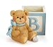 31DOX%2BxTj9L. SL75  Baby Boy Bear Bank And Planter Adorable Nursery Decor