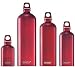 Sporting Goods : Sigg Switzerland Red Traveller Aluminum Water Bottle