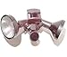 Electronics : Pro Video CVC-340LC B/W Outdoor Motion Sensor Security with Lights and Bronze Housing