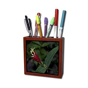 WhiteOak Photography Floral Prints - Red flower with tiny yellow flower - Tile Pen Holders-5 inch tile pen holder