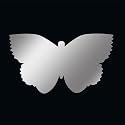 BABY BUTTERFLY MIRROR BY MIRRORKOOL&reg;