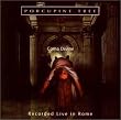 Coma Divine