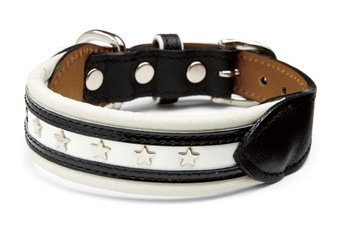 犬用首輪 アポロカラー ブラック 23サイズ birdie