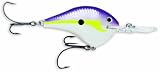 Rapala Dives-To Metal Sure Set 20 Fishing Lure