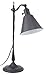 OTT-LITE VisionSaver Plus Carolina Table Lamp, Antique Bronze