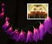 Natural Flower Lights - Lavender (Pink/Purple Tip)