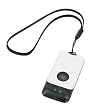 Keychain 802.11B/G WiFi Hotspot Detector