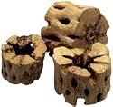 SUPER PET CHOLLA CHEWS 3-PIECE