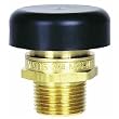 Watts Water Technologies N36-M2 Water Service Vacuum Relief Valve
