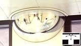 18" Acrylic Half Dome 180 Degree Mirror