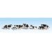N Holstein Cows