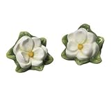 J Willfred Ceramics Magnolia Salt And Pepper Pair