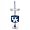Kentucky Wildcats