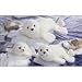 GUND - Plush - Aquatic Wonders Seal