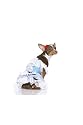 Cute And Matching Dorothy Puppypet Dog Cat Costume Leg Avenue