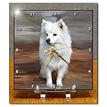 Dogs American Eskimo - American Eskimo Toy Dog - Desk Clocks