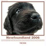The Dog Newfoundland (Artlist Collection)