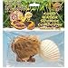T-Rex Shell Food/Water/Sponge Combo