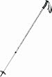 MSR Denali II Trekking Poles