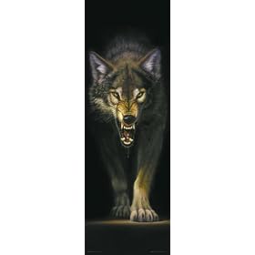GB eye Ltd, Prowling Wolf, Door Poster, (53x158cm) DP0008
