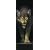 GB eye Ltd, Prowling Wolf, Door Poster, (53x158cm) DP0008