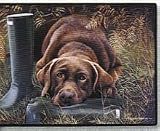 Chocolate Lab Labrador Retriever Indoor / Outdoor Designer Doormat
