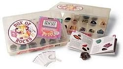 Box of Rocks-17 Compartment Collection
