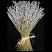 Outdoor Living : French Provence Lavender Bouquet, Self-Standing