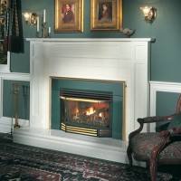 Napoleon GI3600N GI3600N Gas Fireplace Insert