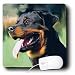 rottweiler2  - Dogs Rottweiler Rottweiler Mouse Pads