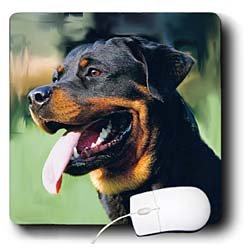 image link -  - B002O1HDVW