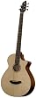 Breedlove Atlas Studio BJ350/SM5  Acoustic Electric Bass