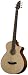 Breedlove Atlas Studio BJ350/SM5  Acoustic Electric Bass