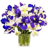 Flowers - Ocean View