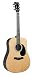 Recording King Contemporary Series I Dreadnought Acoustic Guitar, Solid Rosewood Back & Sides