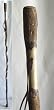 Twisted Sweet Gum Walking Stick