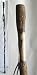 Sporting Goods : Twisted Sweet Gum Walking Stick