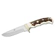 Puma Messer  IP Trapper Stag, Jagdmesser, Stahl 440 C, Hirschhorn, Neusilber, braune KM-vc herscheide, 309410, Gr.E