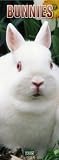 Bunnies Slimline 2005 Calendar