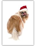 Shih Tzu Dog Christmas Greeting Cards 10 Pack Holiday
