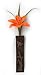 Ancient Graffiti Chestnut Brown Wall Vase