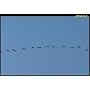 Sigma T�l�objectif 120-400 mm / F4,5-5,6 APO DG OS&hellip de Sigma