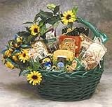 Sunflower Treats Gourmet Basket - Large (Large Pictured) - Bits and Pieces Gift Store
