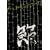 PE�fZ REALIVE~�� FUSHI~@2005.9.21 NHK HALL [DVD]