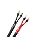 Monster Z3R ML-10/10 Reference Ultimate Audiophile Speaker Cable with Monster Lock Master Pin, 1 Pair (10 ft.)
