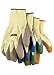 Stanley Utility Plus Gloves - Small - 12 Pair - Model HKP1631S