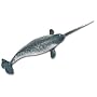 Monterey Bay Aquarium - Narwhal